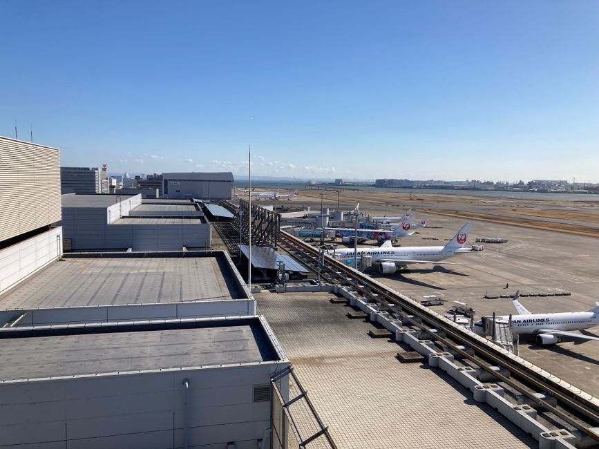 羽田機場 ⇄ 澀谷
