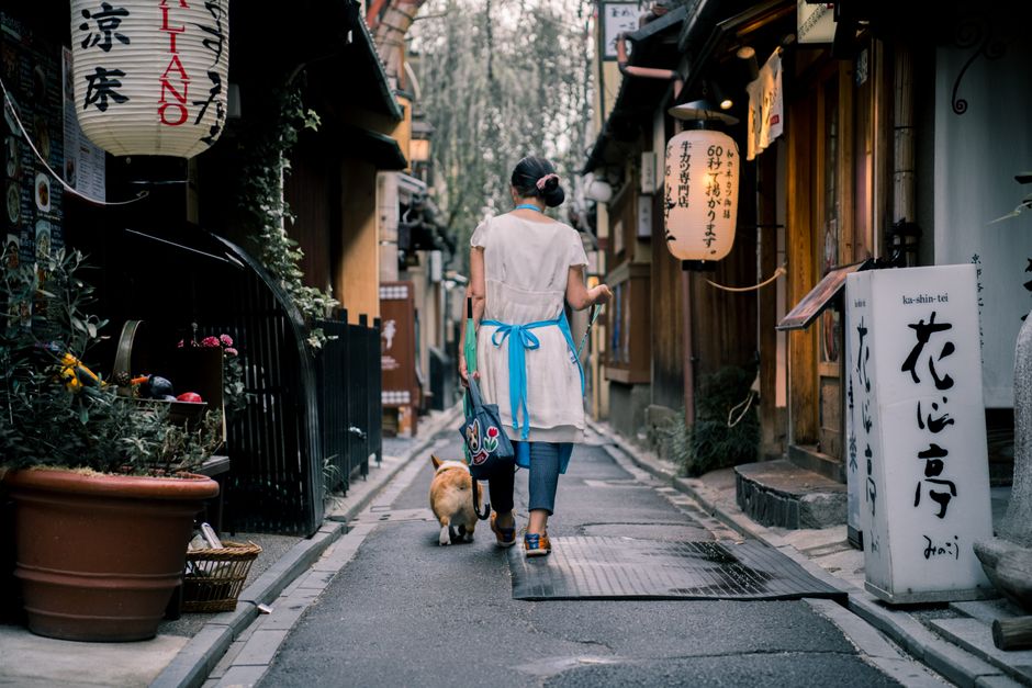 京都先斗町的小巷與燈籠